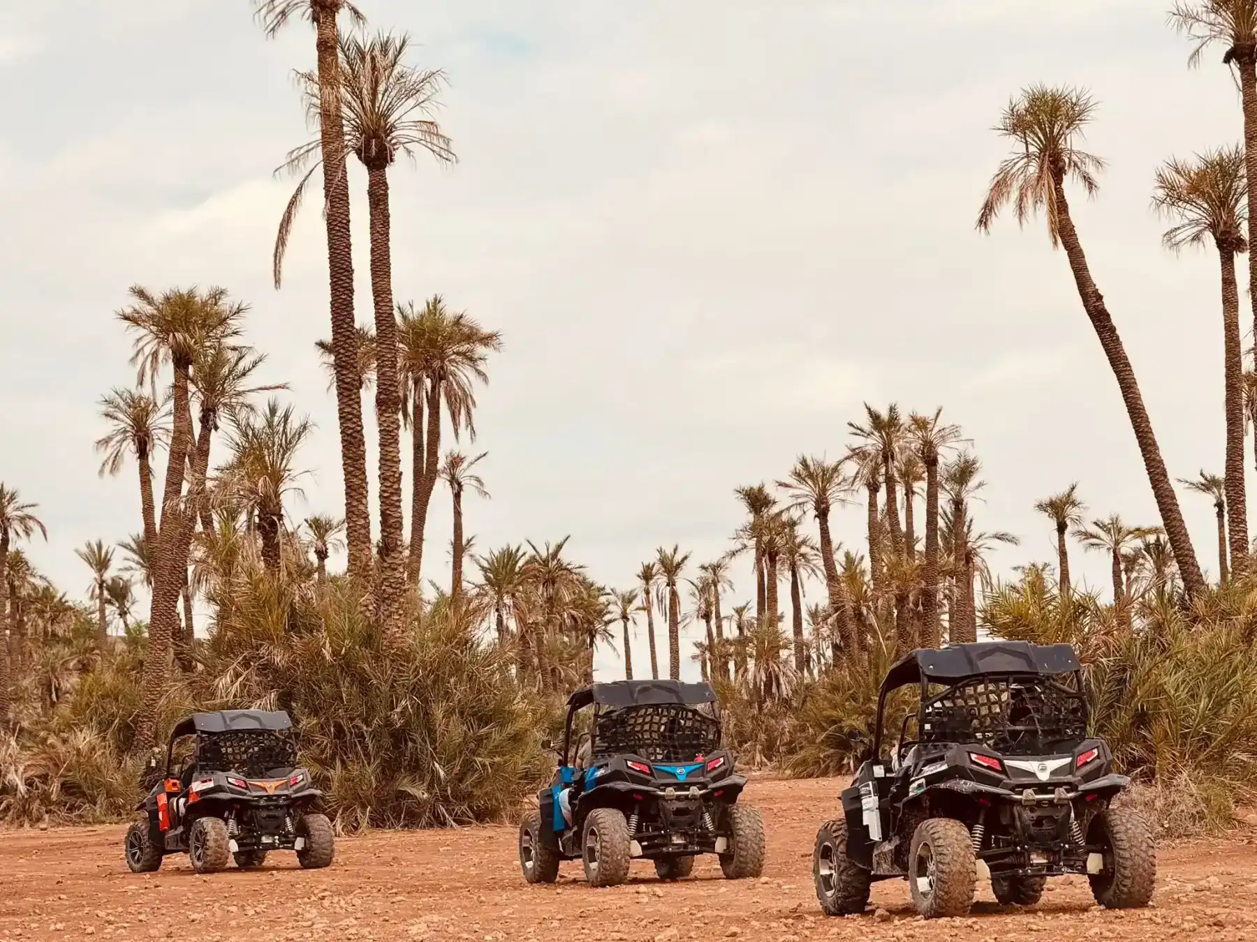 Quad Dunes Marrakech 4