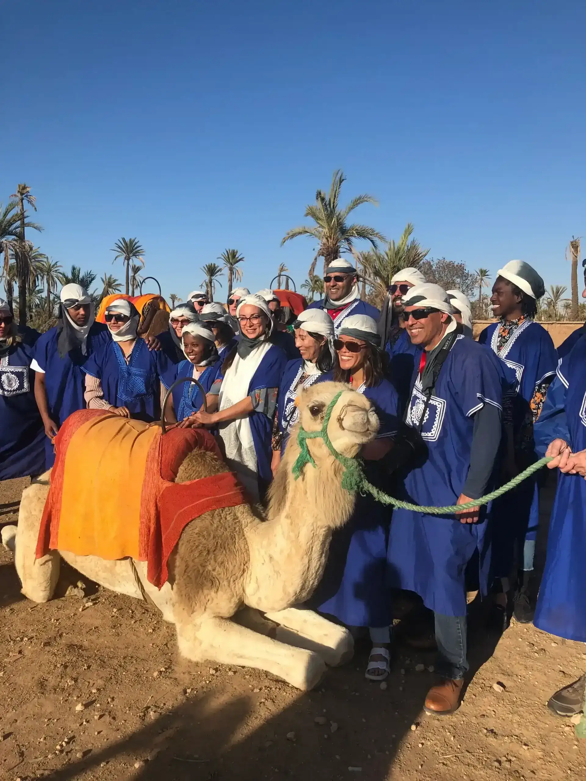 Camel ride Marrakech 4
