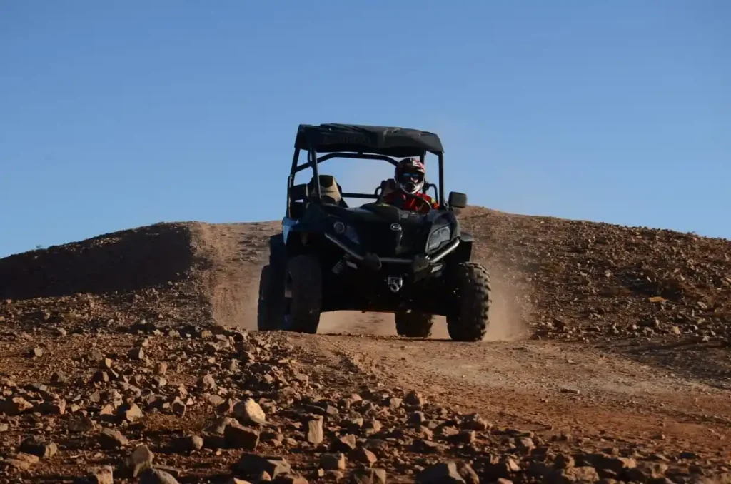Quad ride in the palm grove