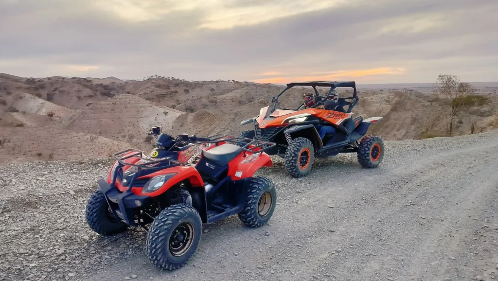Open tracks and desert horizon