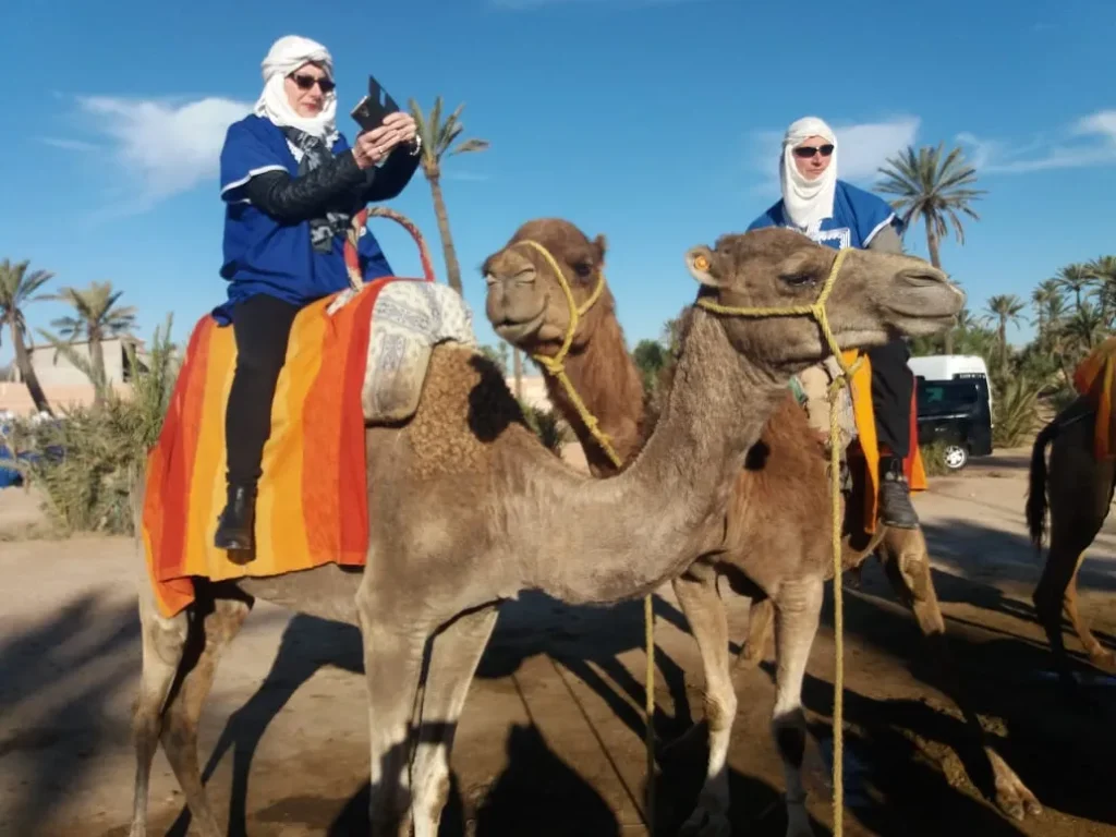 Premium Marrakech excursion